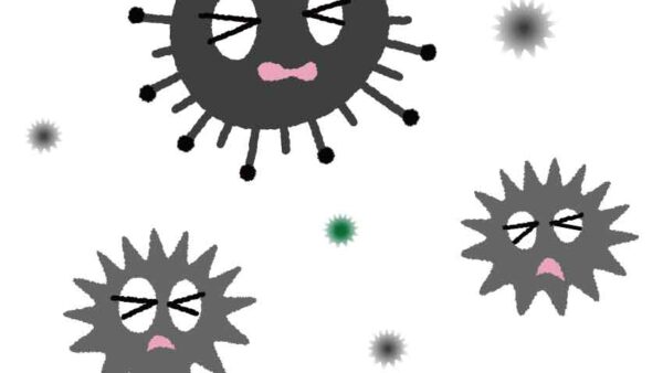 粉骨のカビ対策に紫外線が大事！カビ発生率を90%減らす保管方法はこれ！